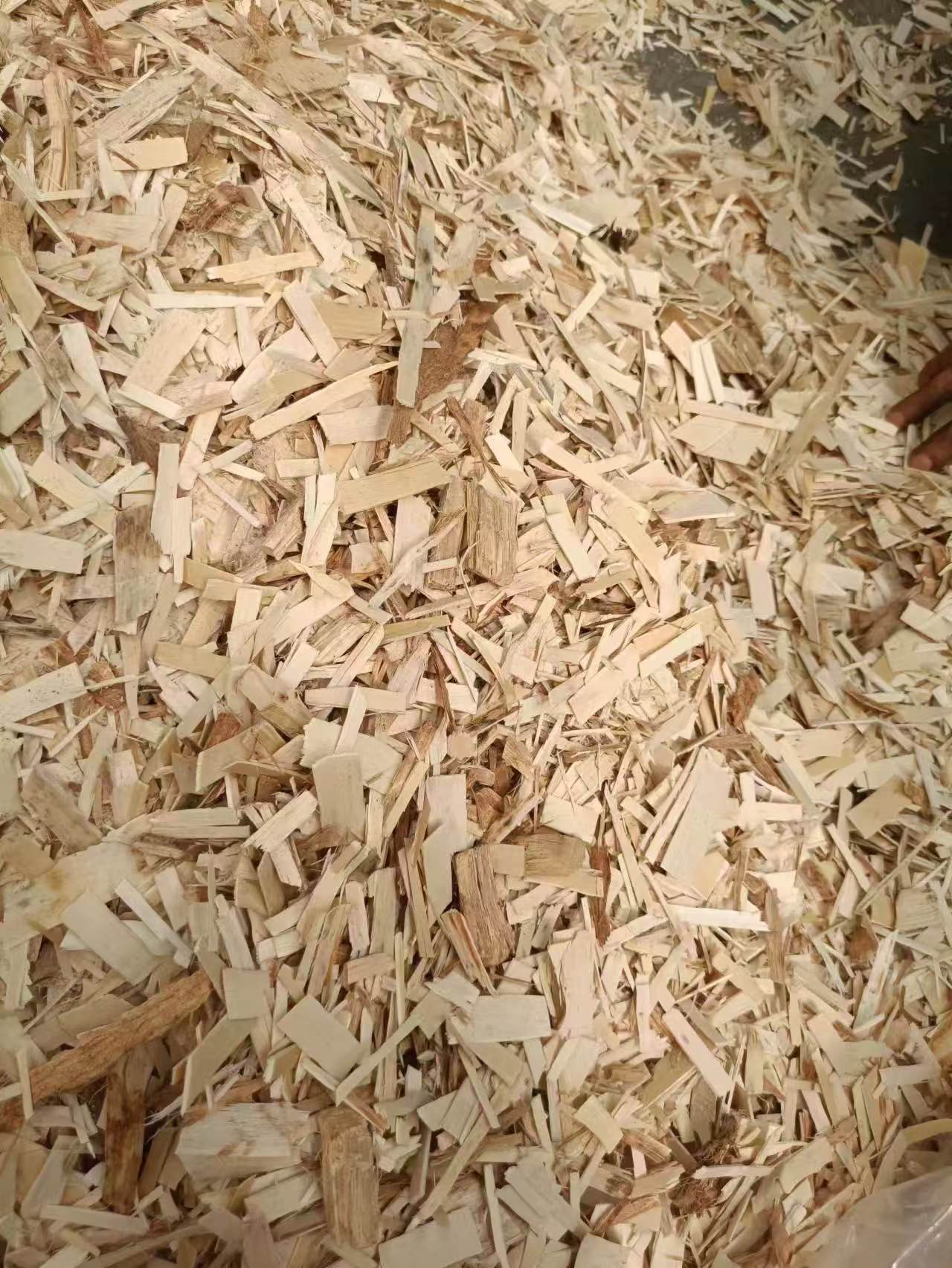 종합 파쇄기.jpg