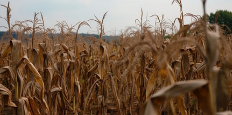 원자재.png 원자재.png