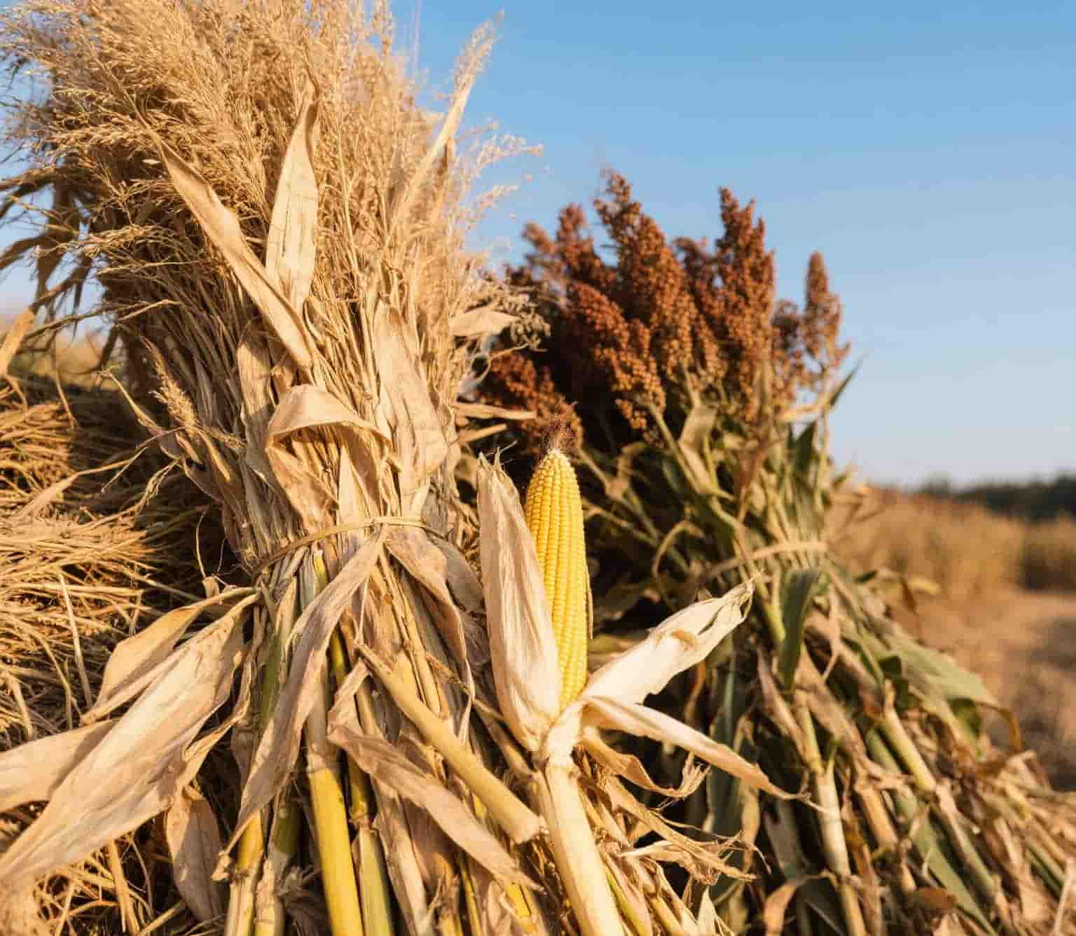 산업용 Manufacturing.png 산업용 Manufacturing.png