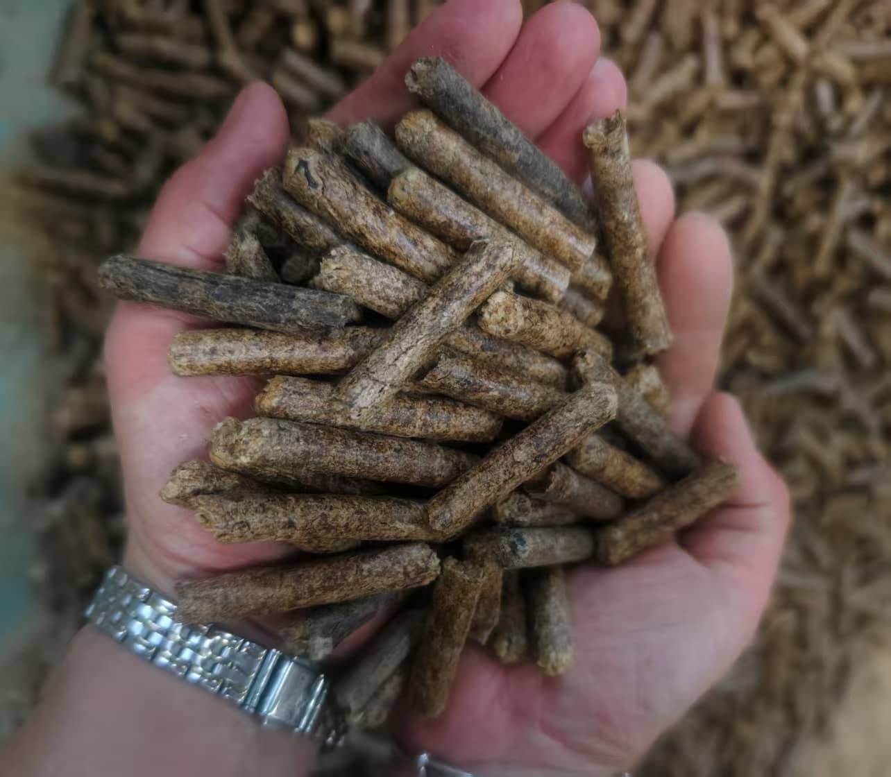 바이오매스 땅콩 껍질 펠릿 제조기.png