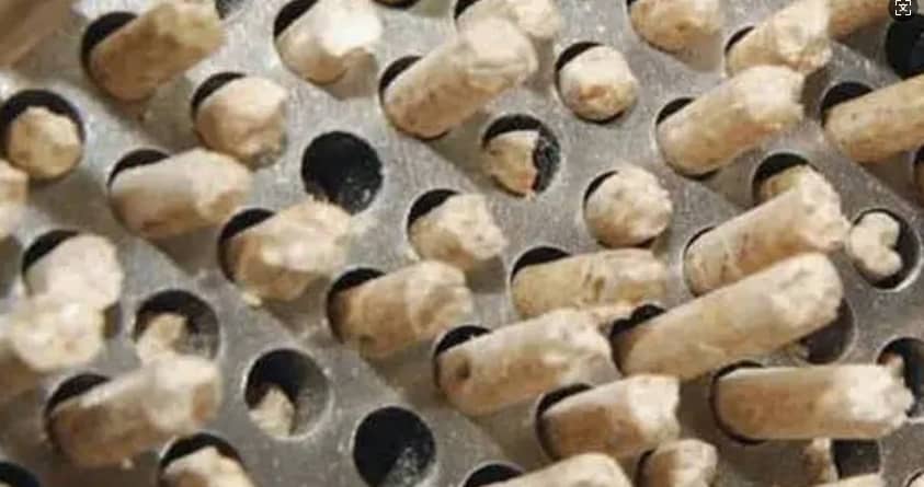 쌀겨 펠릿 제조기.png 쌀겨 펠릿 제조기.png